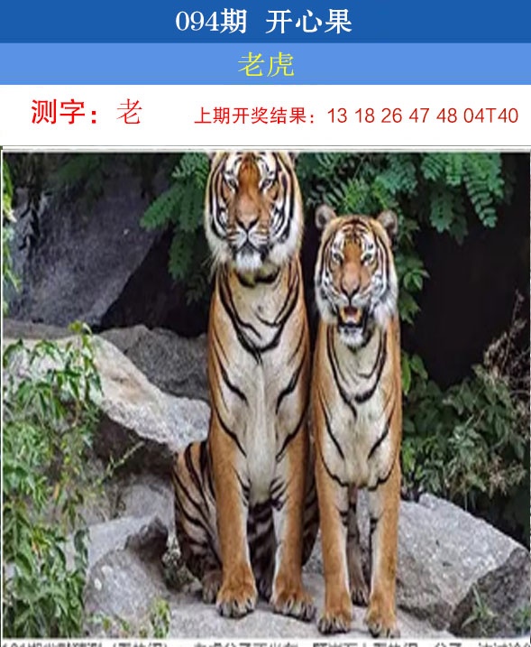 094期开心果[图]