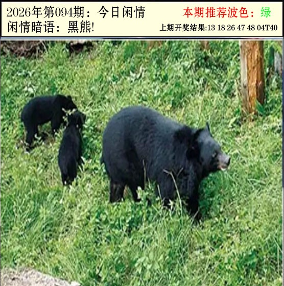 094期今日闲情2[图]