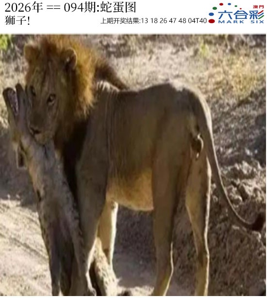 094期正版蛇蛋图[图]